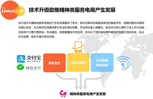 2017上半年中国精神类服务电商市场研究报告 网络咨询服务的崛起与挑战